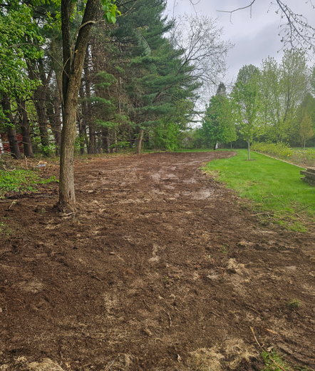 Dirt path through a wooded park beside green grass under overcast skies