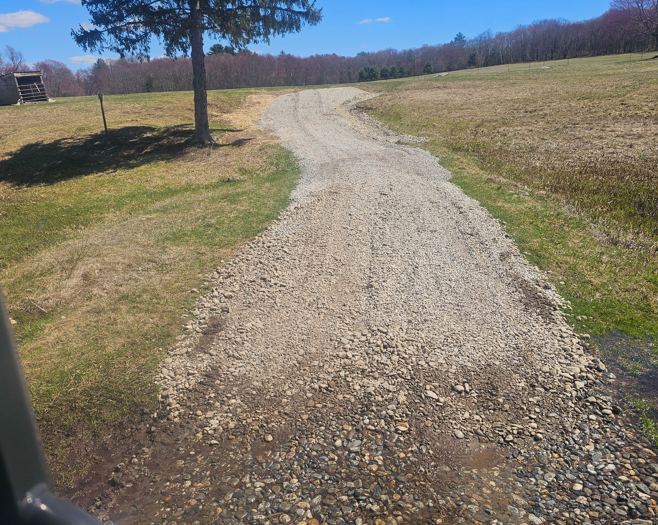 Gravel path curving through a grassy field under a clear blue sky, with a tree on the left.