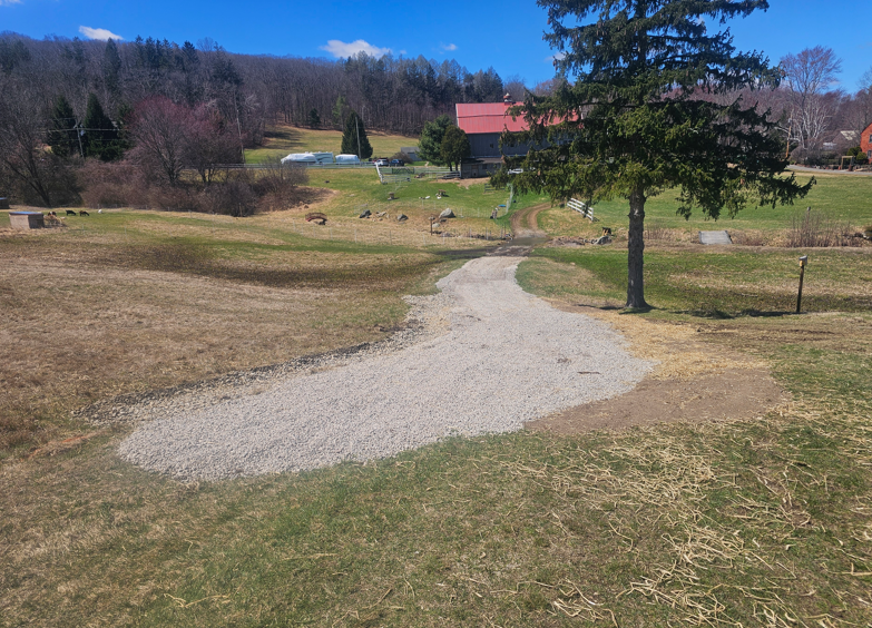 Gravel path curving through a grassy field with a lone tree and a red-roofed building in the distance
