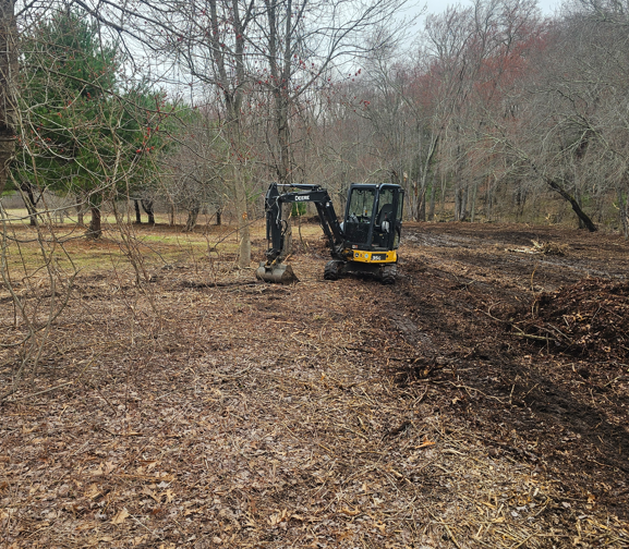Compact excavator clearing brush in a wooded field during winter.