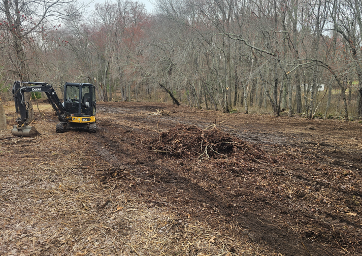 Excavator clearing brush in a bare wooded field on an overcast day