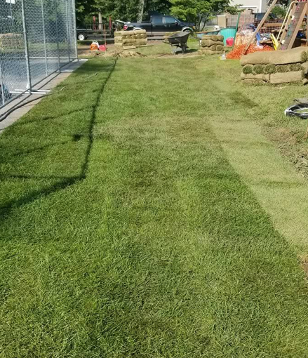 Sunny grassy backyard beside a fenced path, with stacked hay bales and yard items in the distance
