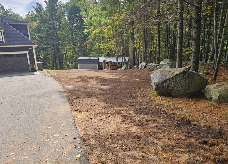 Driveway beside a house leading to a wooded yard with a large boulder and a small shed.