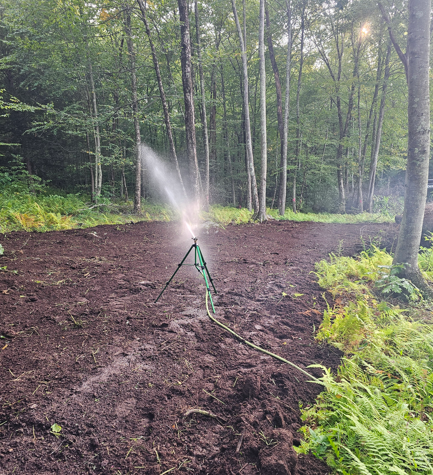 Green sprinkler spraying water over a freshly cleared garden bed in a wooded area