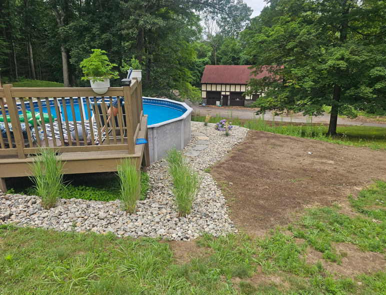 Backyard pool with wooden deck, gravel path, and a red-roofed shed among trees