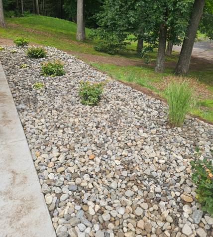 Rock garden with small shrubs and gray stones beside a concrete path in a leafy yard