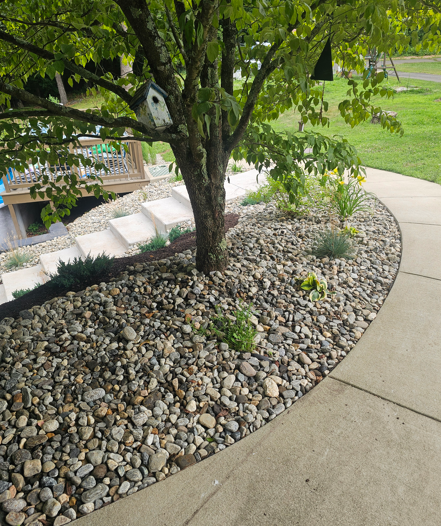 Curved garden bed with rocks and small shrubs beside a sidewalk under a leafy tree