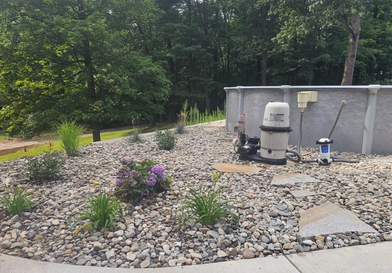 Rock-covered yard with small plants, a purple flower, and a grill beside a concrete wall and wooded background