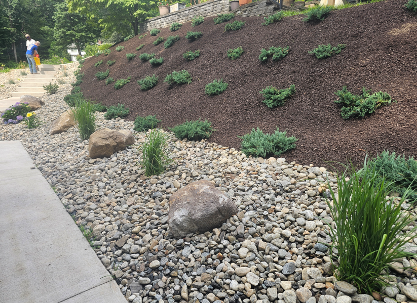 Landscaped hillside with rocks, mulch, and small green shrubs beside a sidewalk