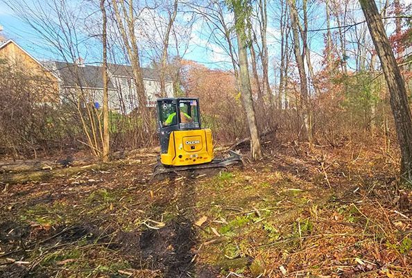 Yellow mini excavator clearing brush in a wooded lot near houses