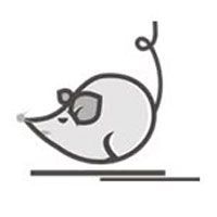 A to Z Wildlife Control