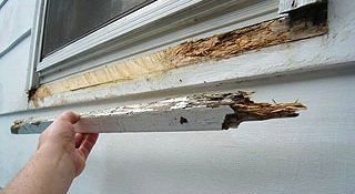 Window repairs