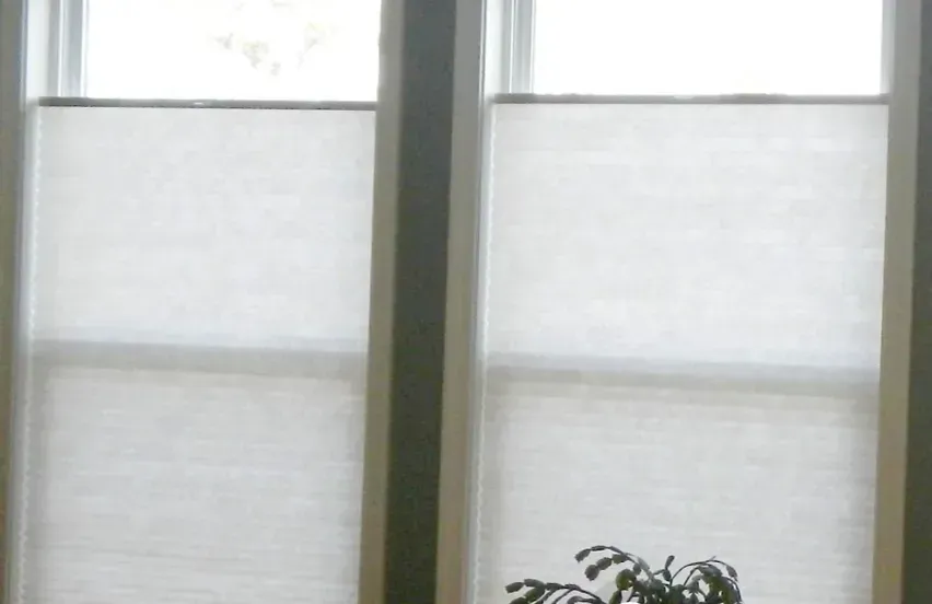 Two white, top-down bottom-up cellular shades in a window with a glimpse of greenery.