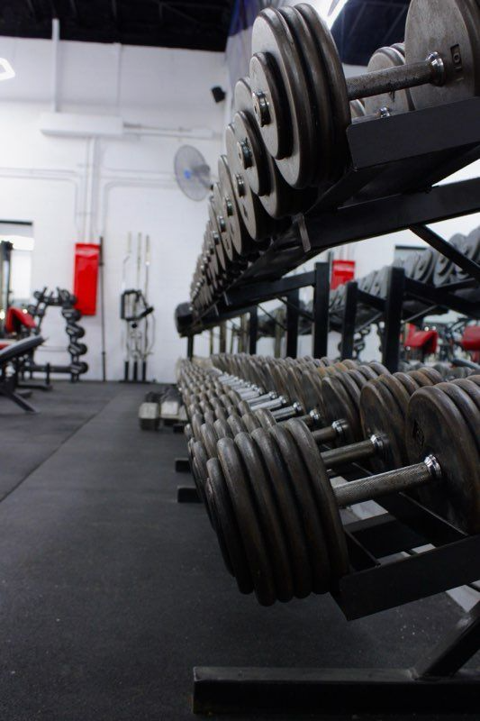 Dumbbells lined up on a rack in a gym, with other workout equipment in the background.