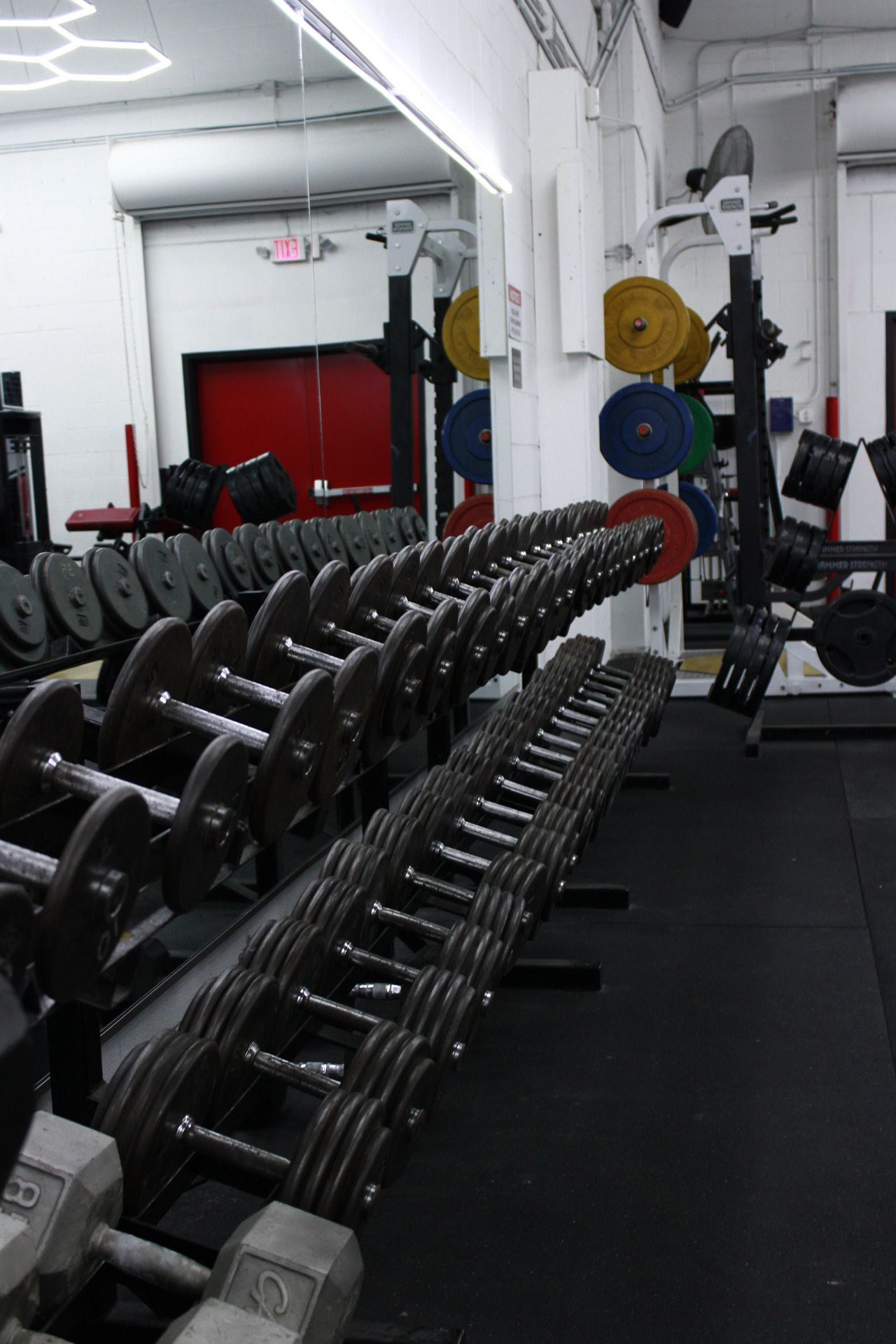 Rows of dumbbells and weight plates in a gym setting, with a weightlifting rack in the background.