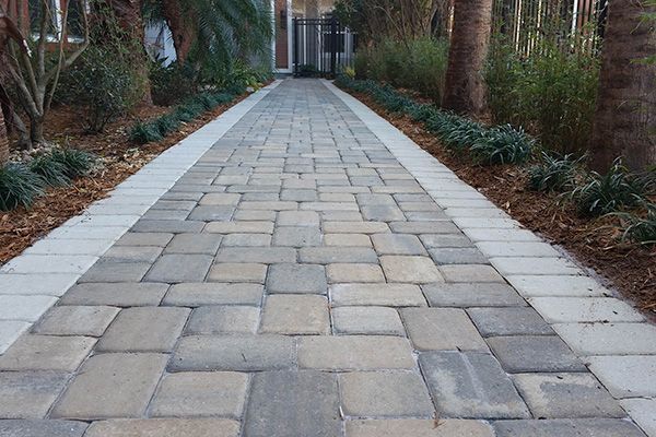 Brick walkway leading to a house, flanked by plants and a light-colored border.