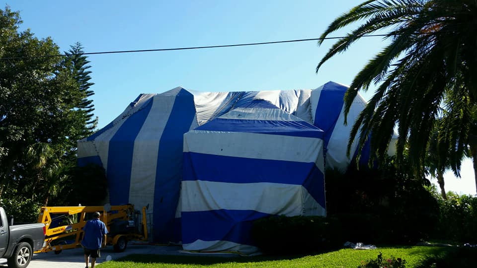 Tent