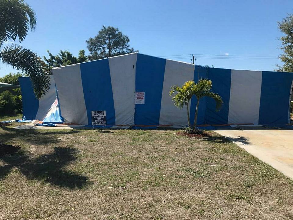 Tent fumigation
