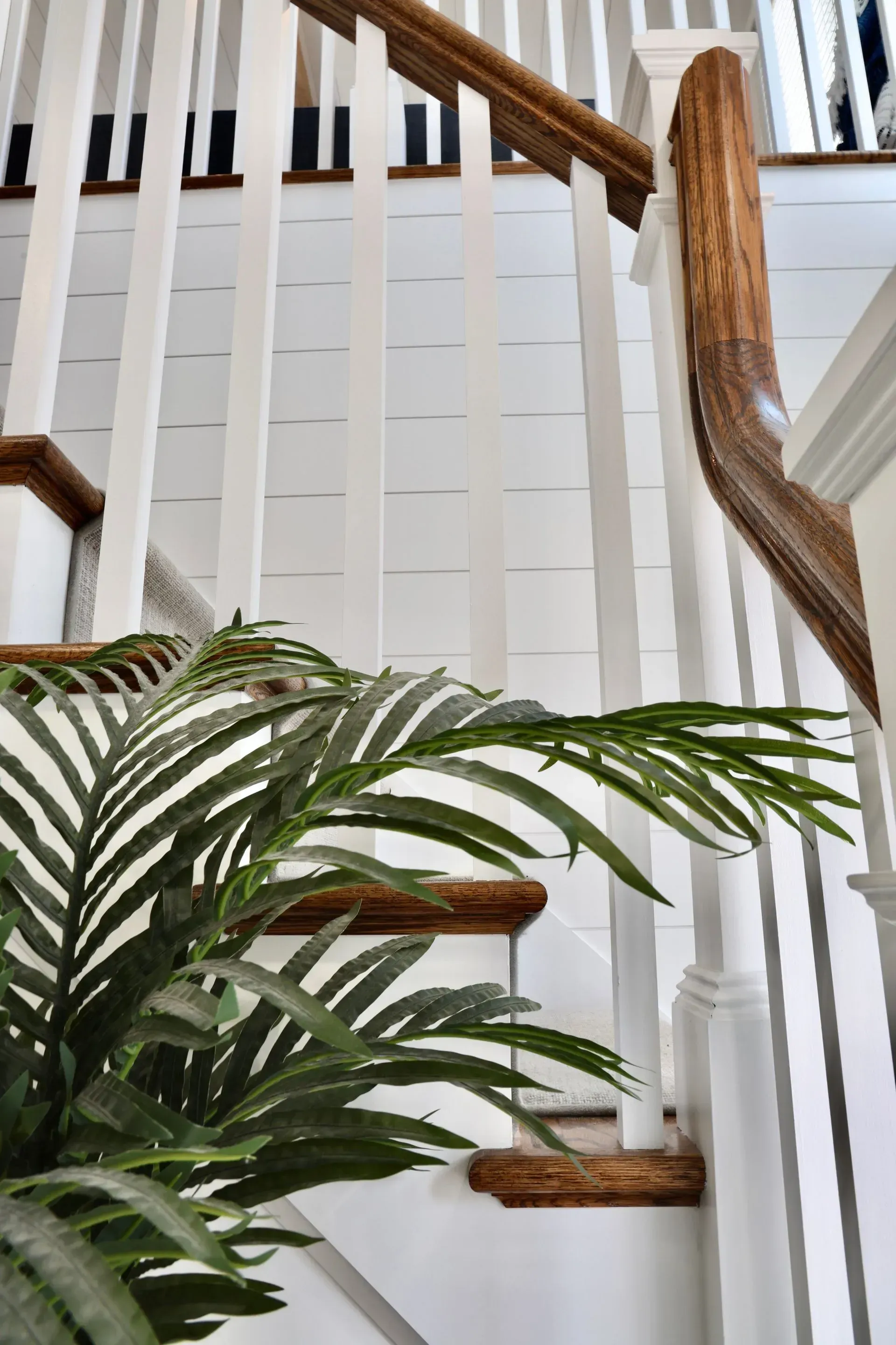 A green potted plant in the foreground of a wooden staircase with white balusters and horizontal shiplap walls.