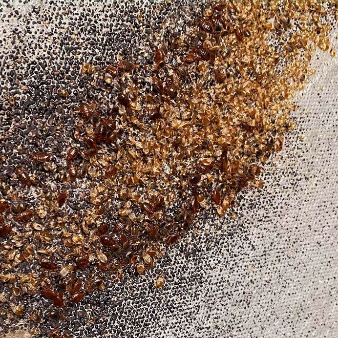 Close-up of a brown and black rusty stain on textured white fabric