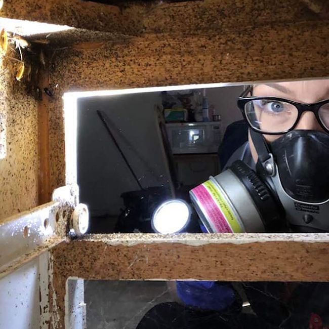 Person in safety goggles and respirator peering through a rusty hatch with a flashlight inside.
