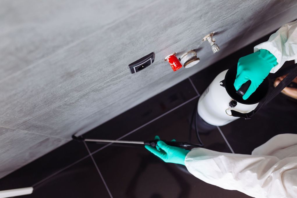 Person in green gloves wiping a gray wall above dark floor tiles with a cloth and cleaning supplies nearby