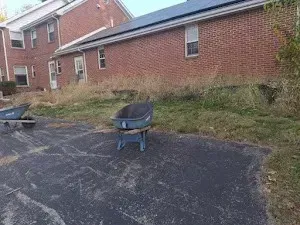 Wheelbarrows sit on a driveway next to a brick building and overgrown yard.