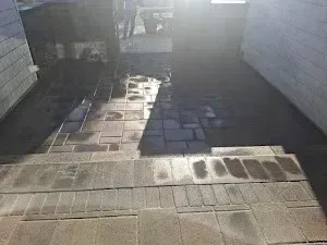 Stone steps leading down, wet from the sun, into a darker area.