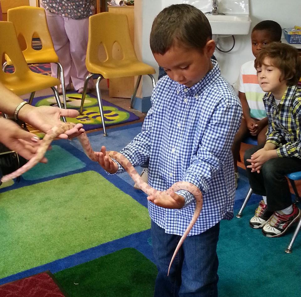 Child holding a snake