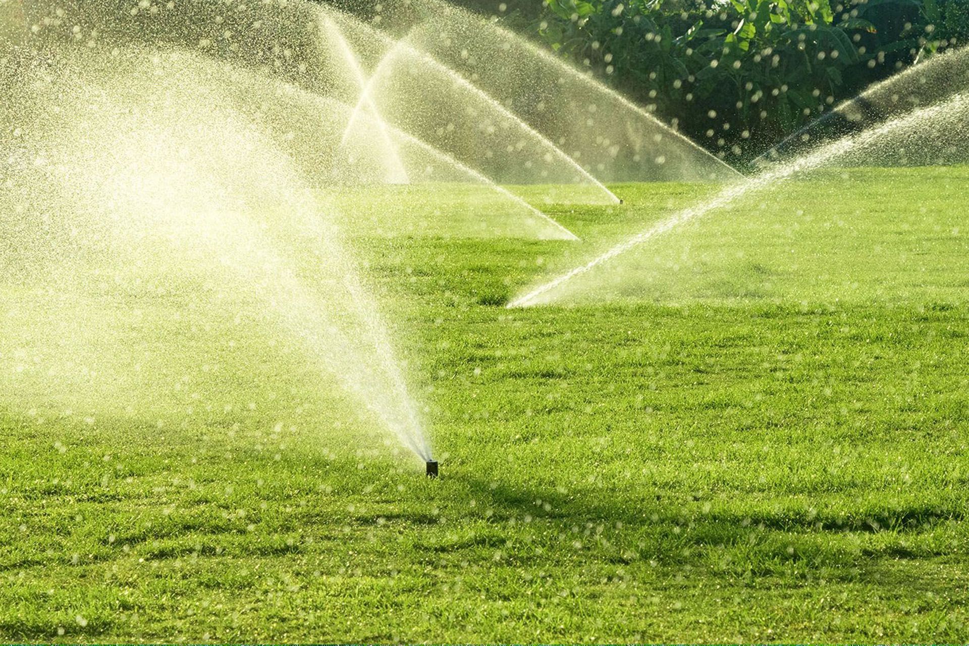 a row of sprinklers spraying water on a lush green field