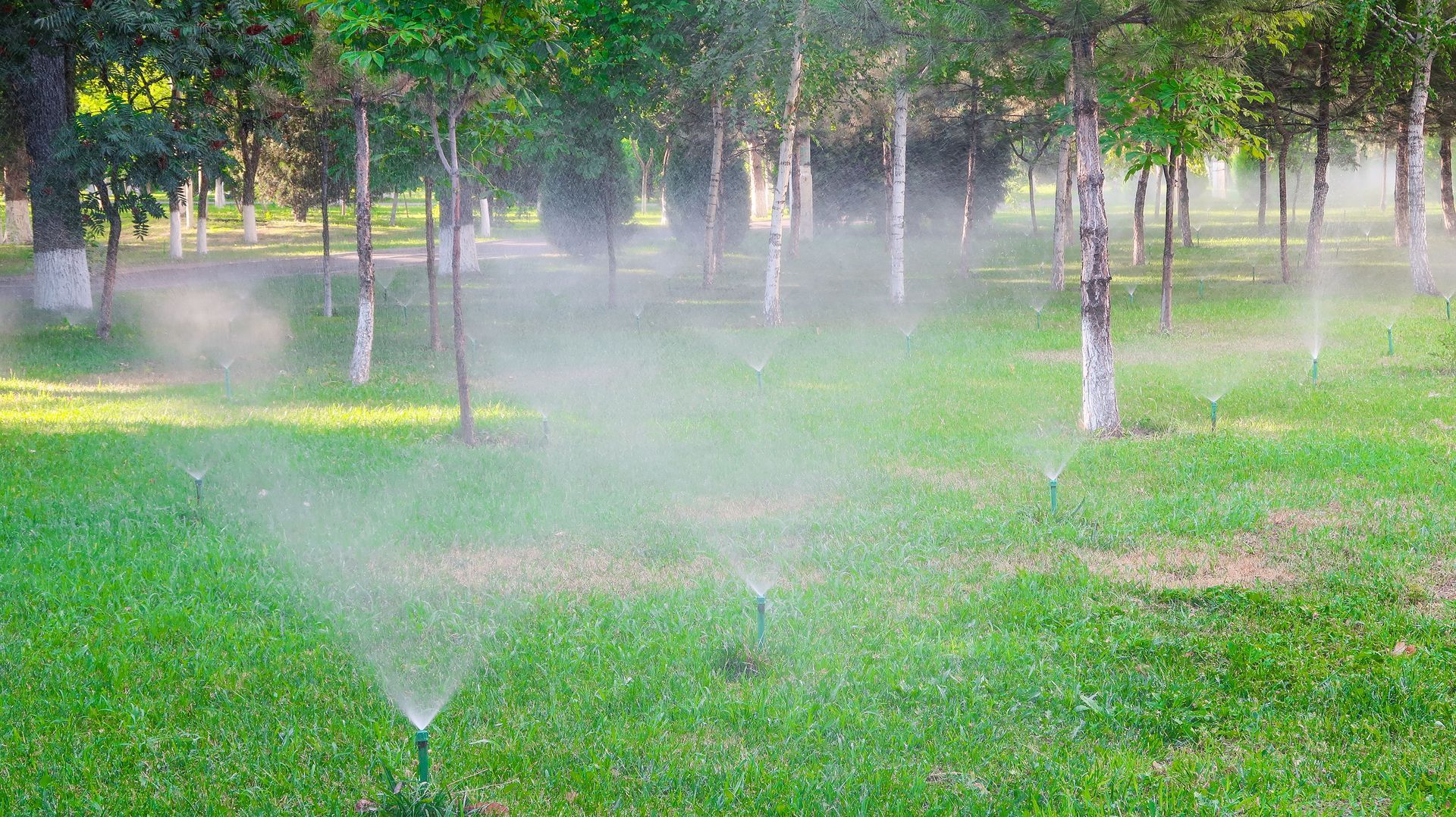 a sprinkler is spraying water on a lush green field in a park