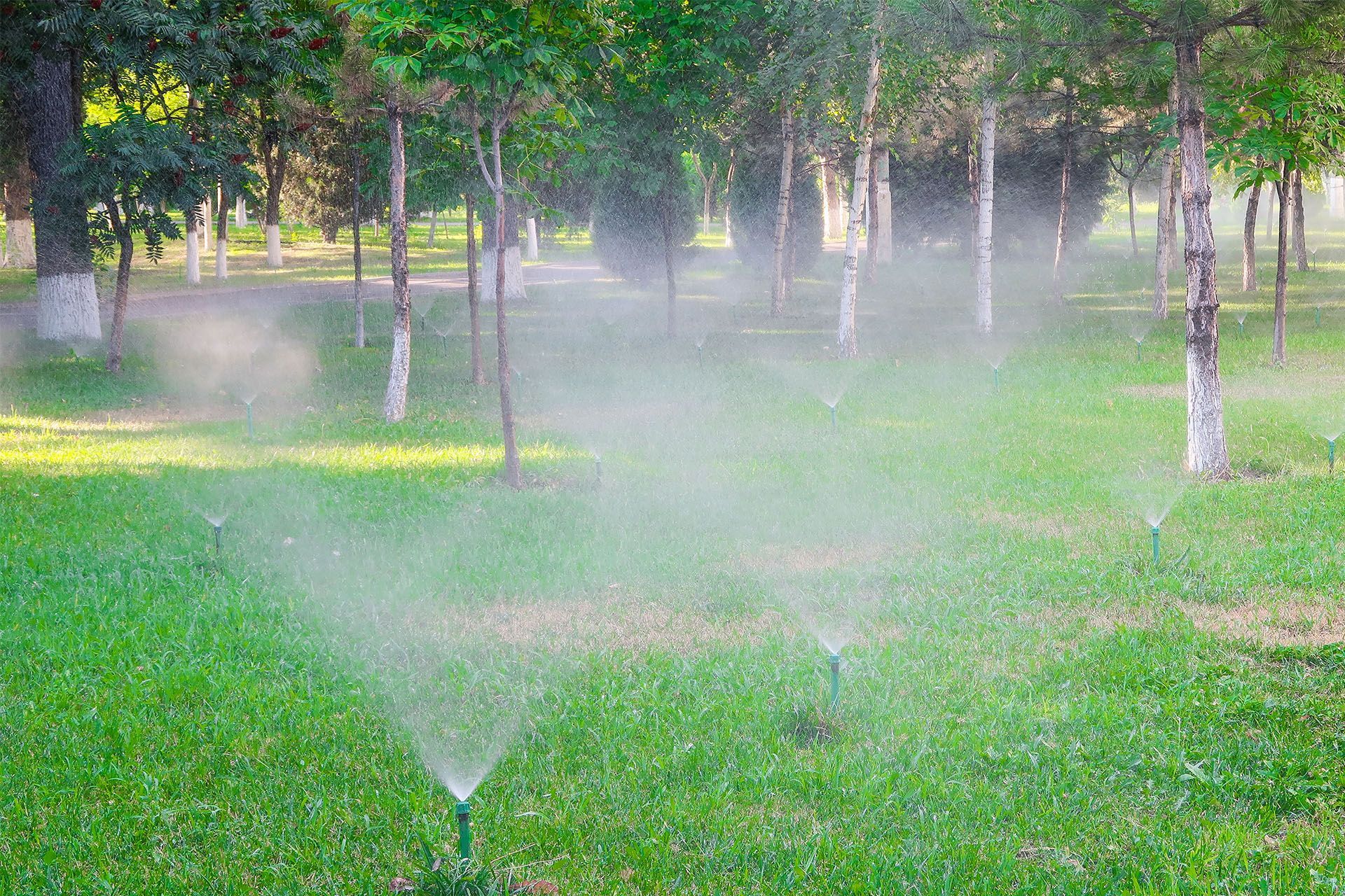 Irrigation System Installation in Maryland