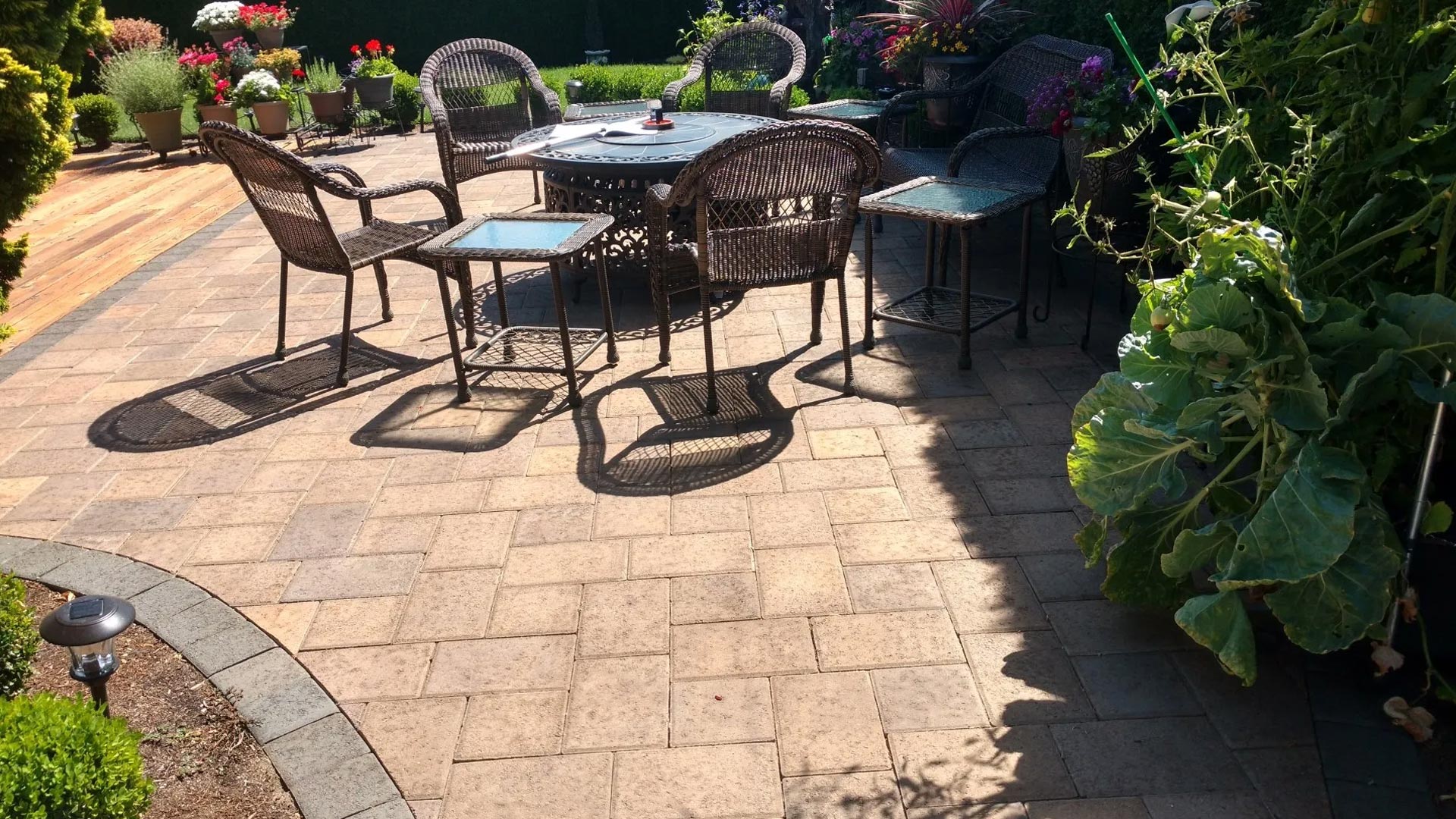 Paver Patio & Walkway
