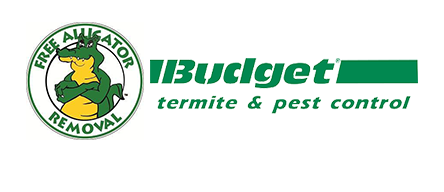 Budget Termite & Pest Control Inc - Logo