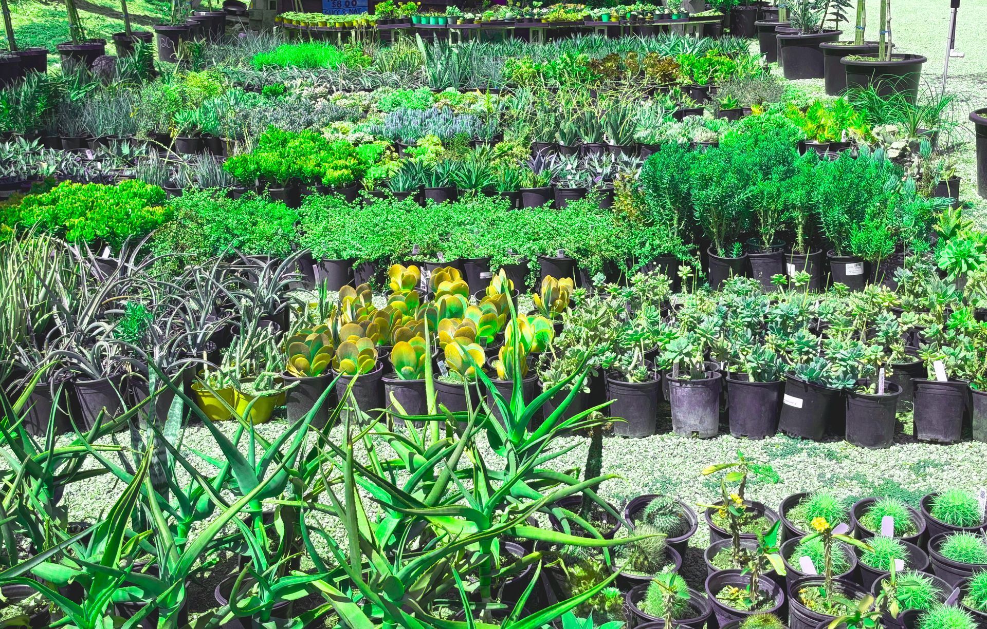 A bunch of potted plants are sitting on top of each other in a garden.