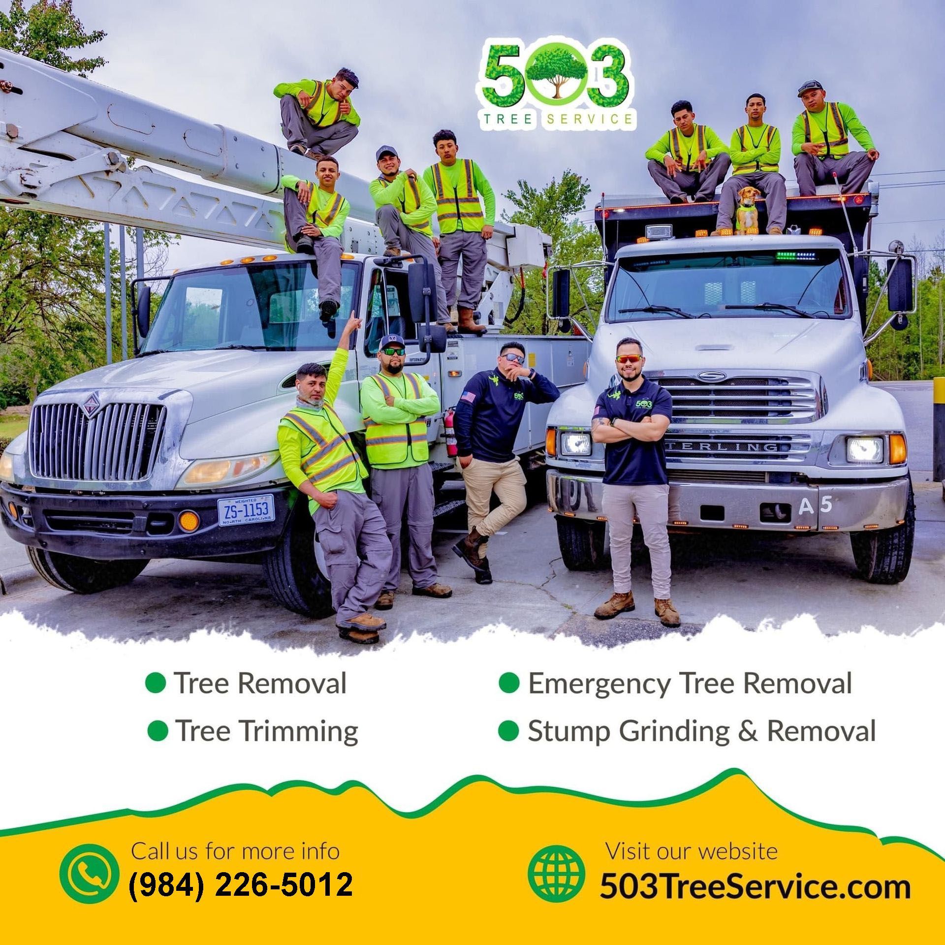 503 Tree Service Team