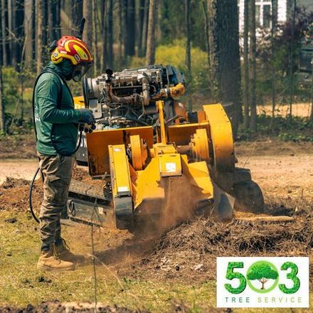 A man uses a machine to remove a tree stump in the woods