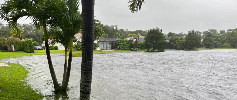 a flooded neighborhood with a palm tree in the foreground and a house in the background .