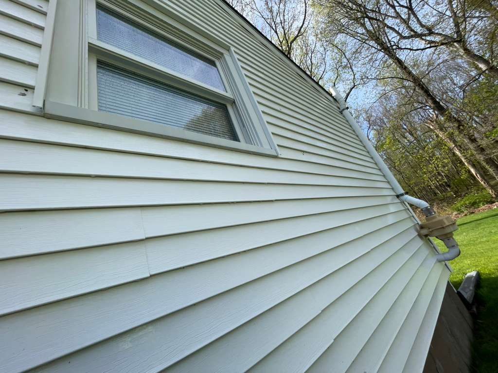 White house siding and a window viewed from a low angle, with tree branches in the background. - after