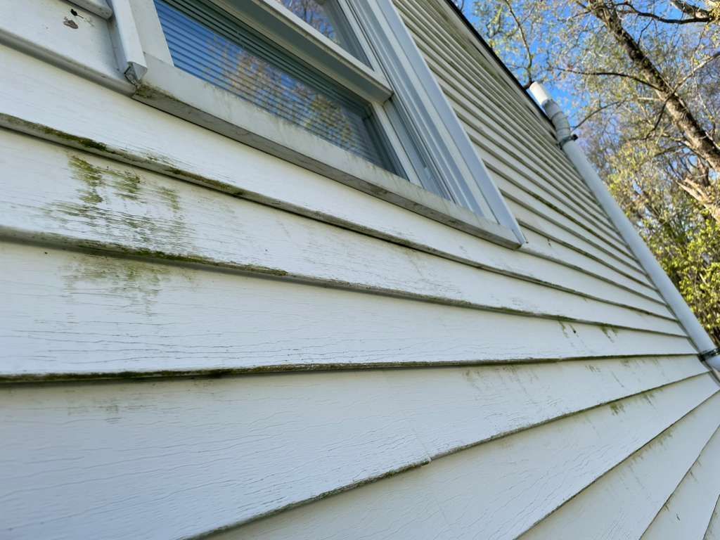 White house siding and a window viewed from a low angle, with tree branches in the background. - before