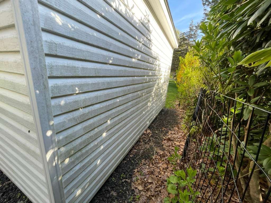 Narrow side yard between a white house and black fence, covered with fallen leaves and greenery. - before