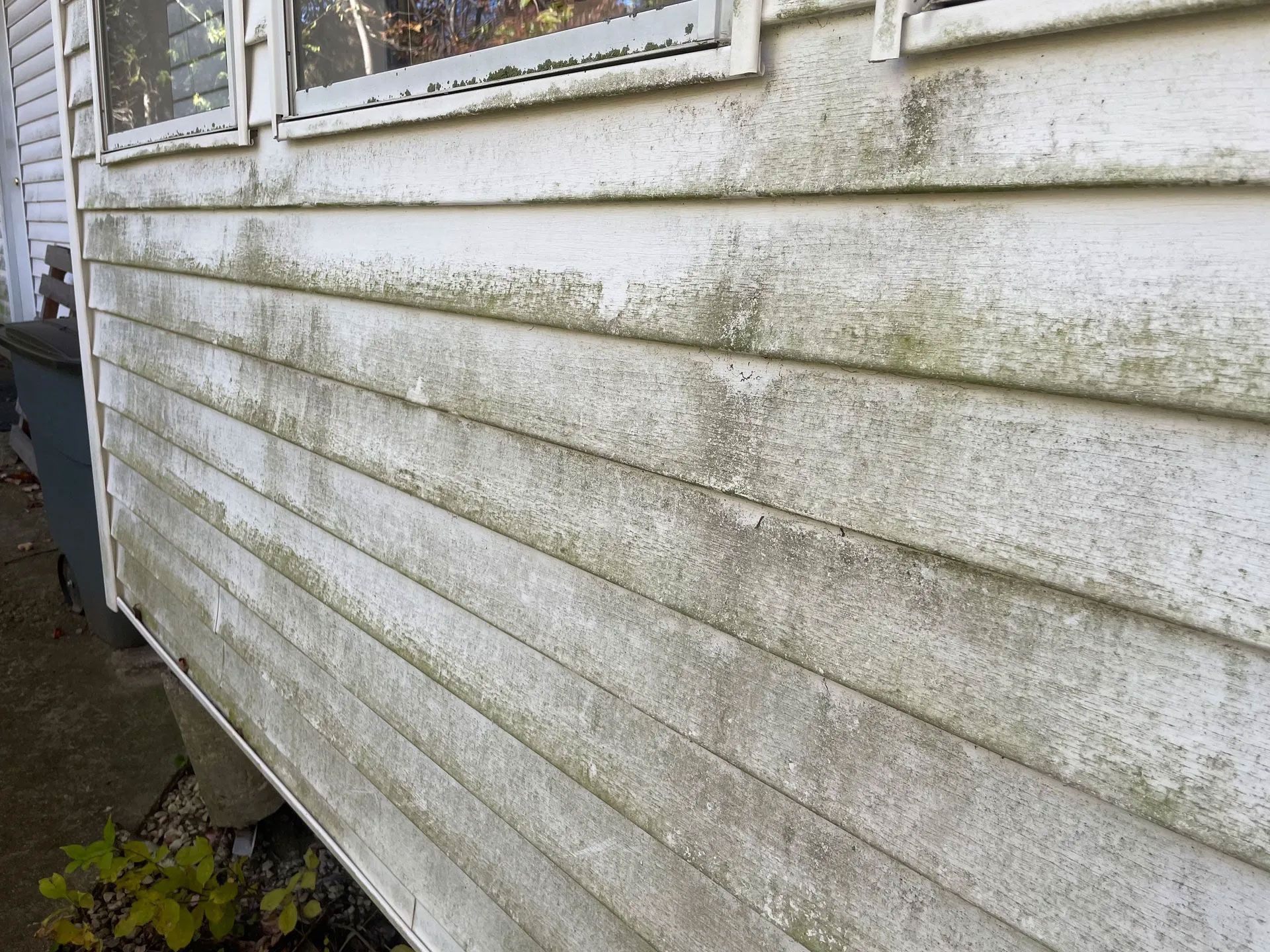 White siding covered in mildew and grime next to a window. - before