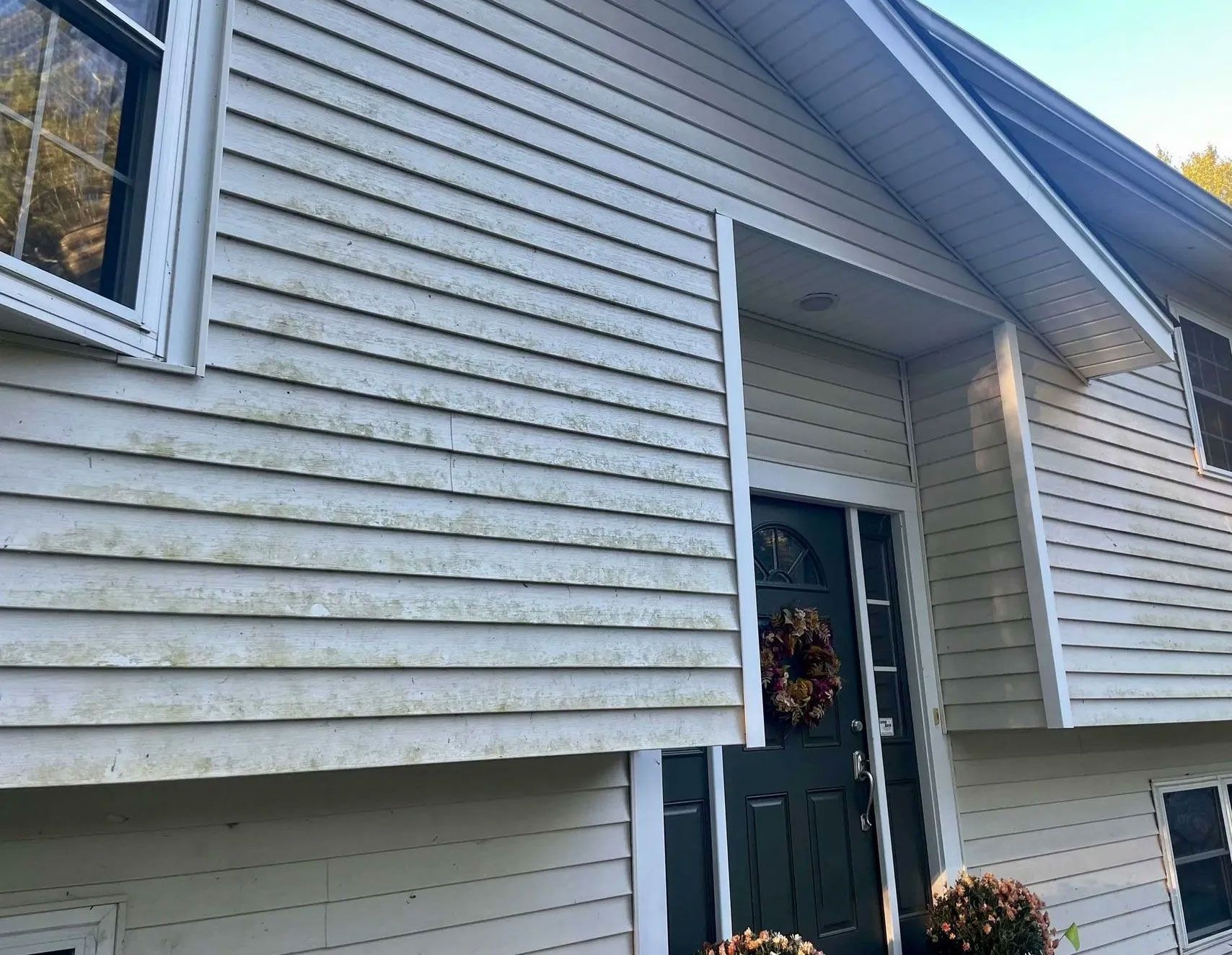 Off-white house with siding and dark door, covered in green mildew. Blue sky - before