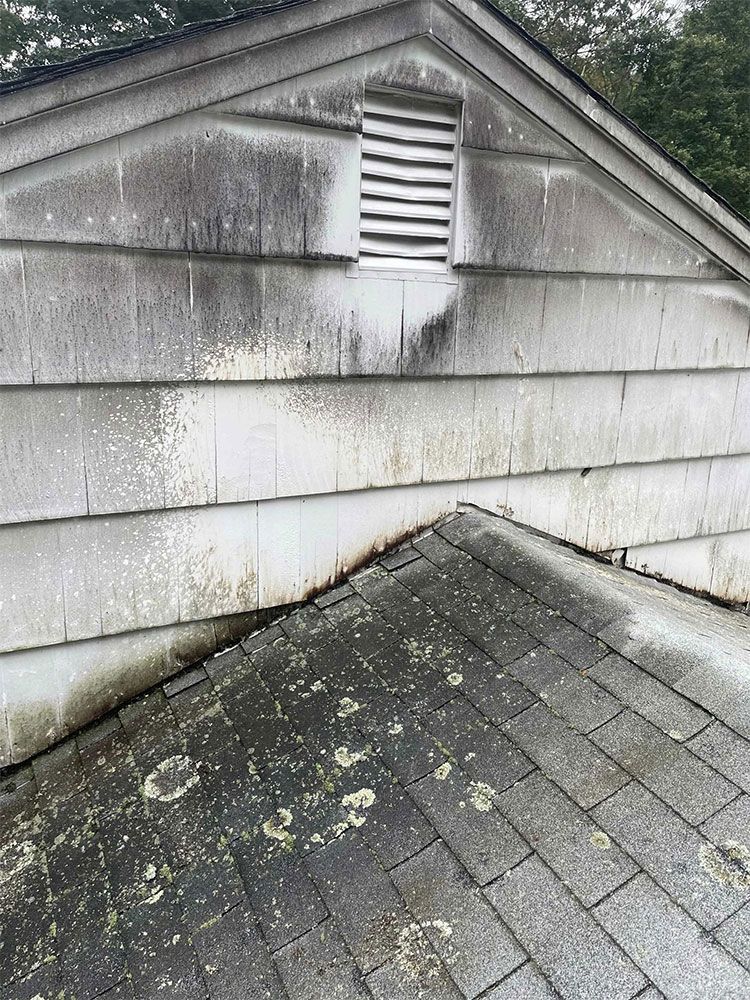 Grungy, weathered shed with a vented gable, covered in mold and lichen. - before