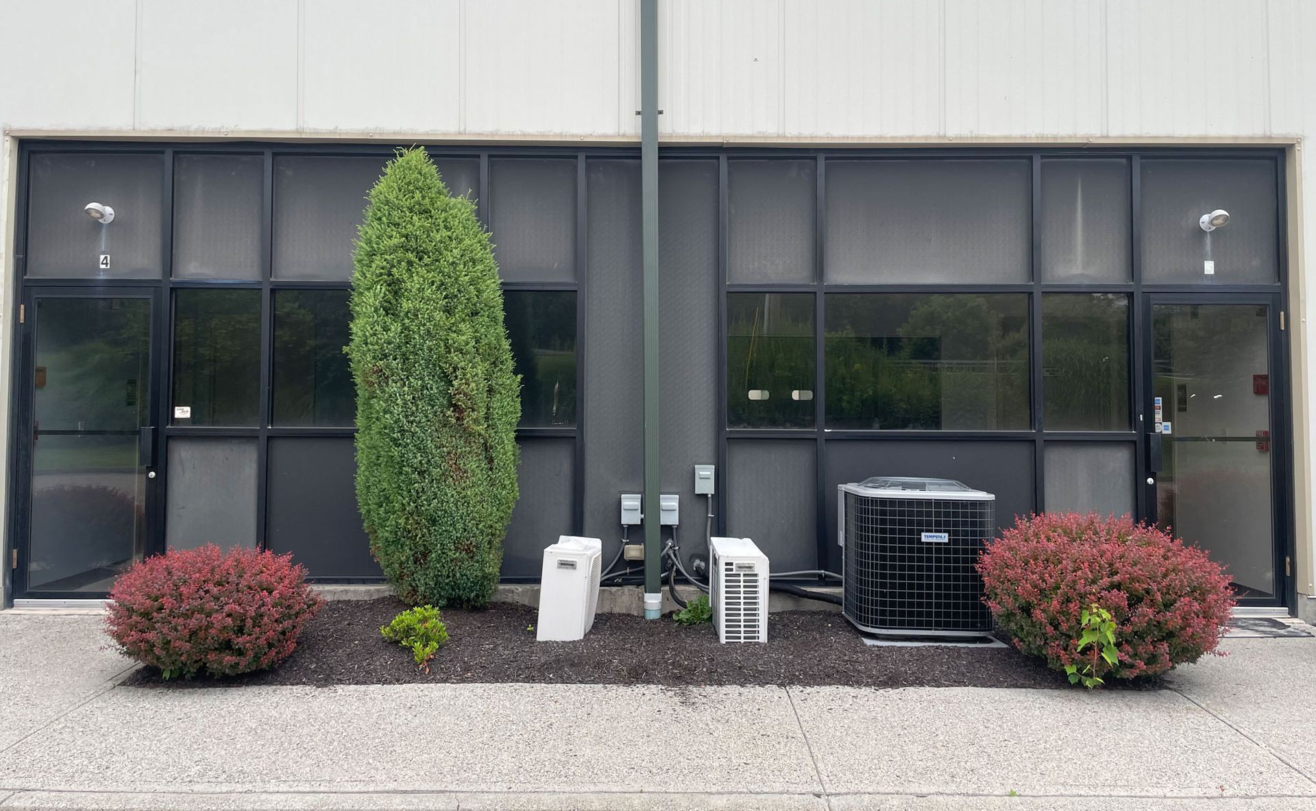 Exterior of a building with dark-framed windows, shrubbery, and a central evergreen tree. An AC unit sits on the right. - before