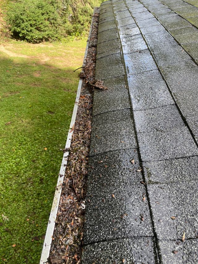 Roof gutter clogged with leaves, along a section of asphalt shingle roof. Green grass visible in background.
