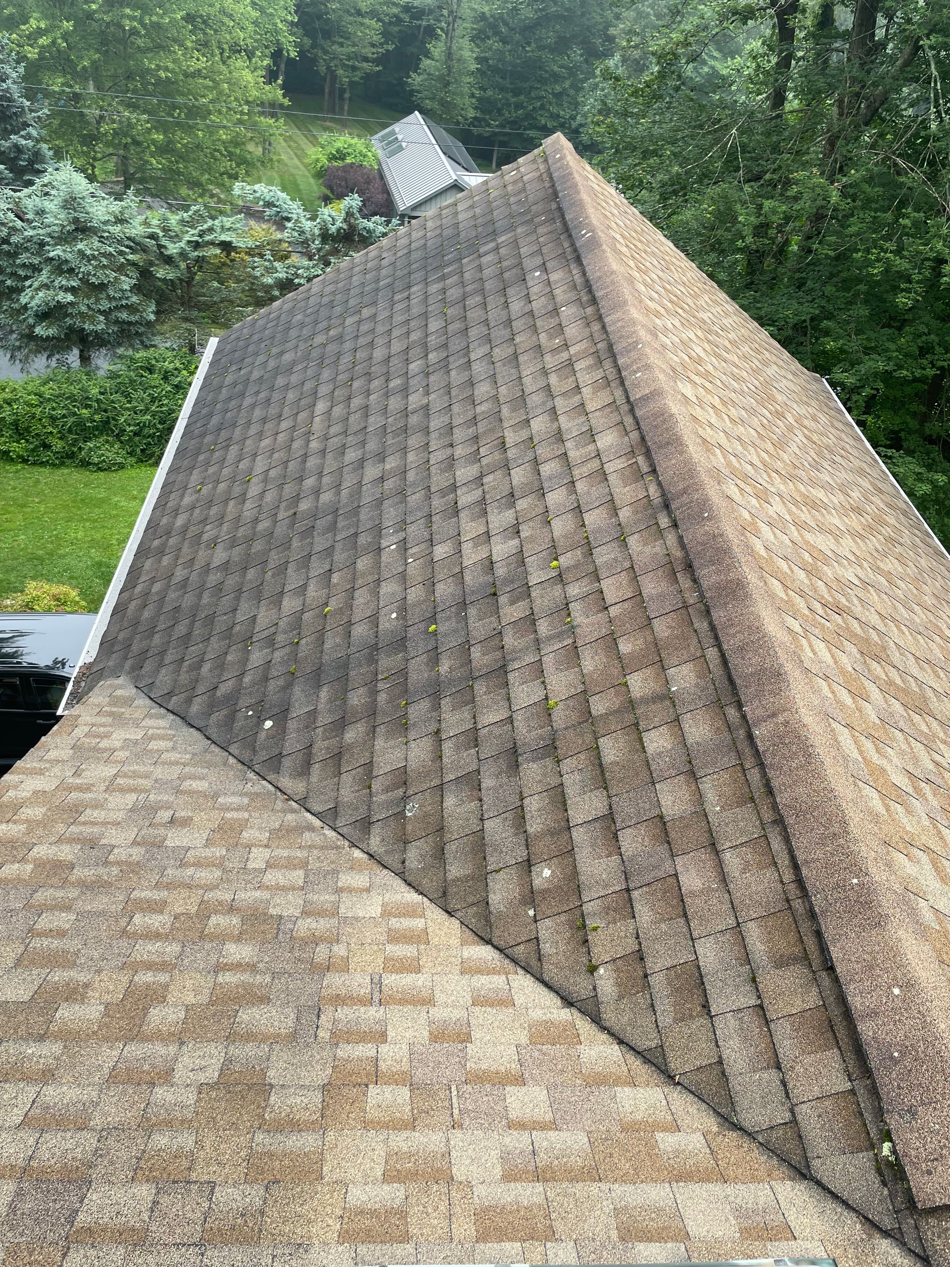 Brown asphalt shingle roof, showing algae growth, viewed from above, surrounded by green trees and grass.