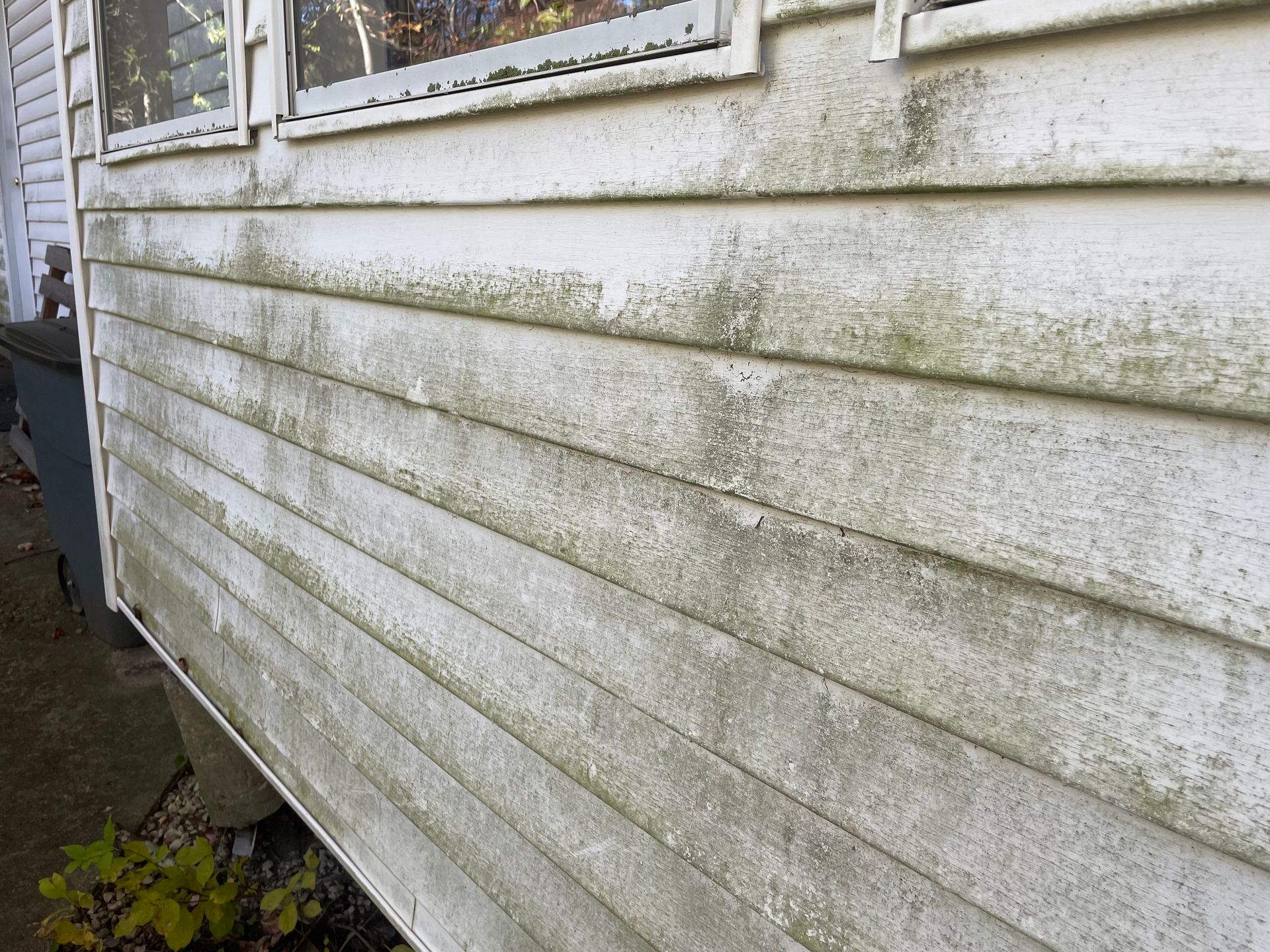 White siding on a house covered in dark mold and mildew near a window.