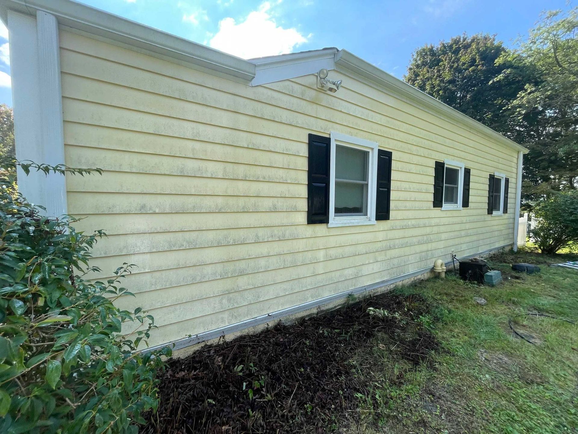 Yellow house with black shutters, siding, and overgrown landscaping.