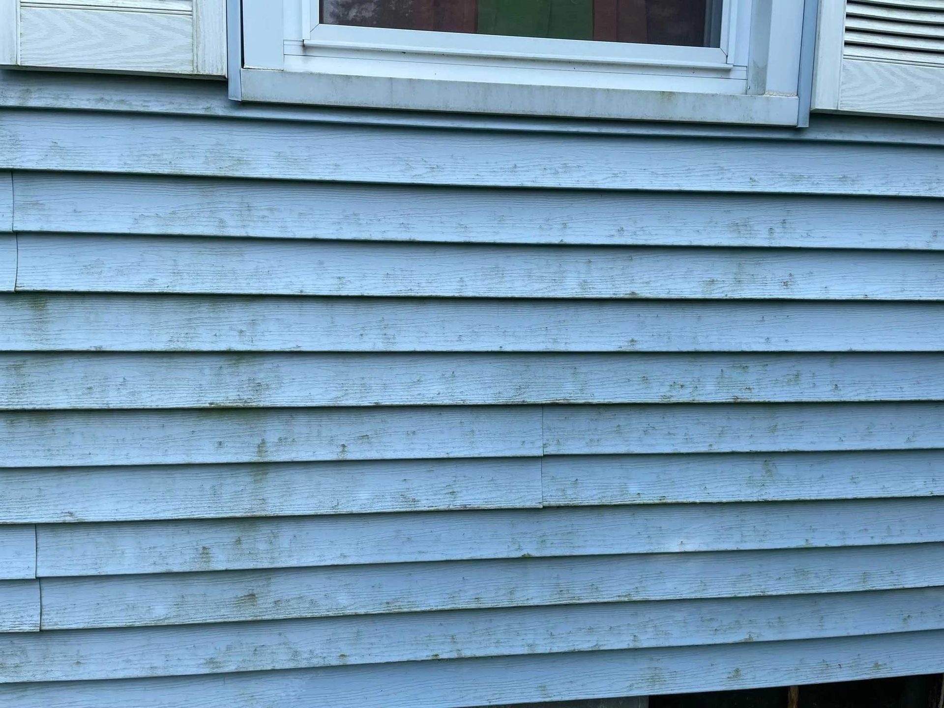 Blue clapboard siding on a house, with a window at the top. The siding shows signs of wear and algae.